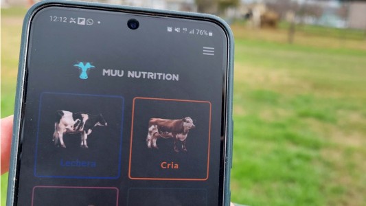 Lanzaron una aplicación para calcular raciones de alimentos para perros y gatos