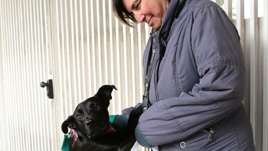 Trabajos de iluminación y bacheo previstos para este lunes 07