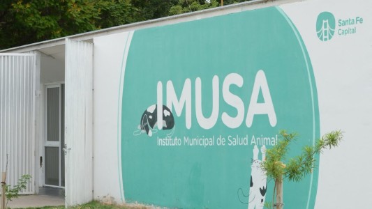 La Municipalidad suma un formulario online para registrar perros de razas peligrosas