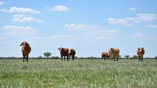 Entregaron más de $126 millones en créditos a tasa cero para productores