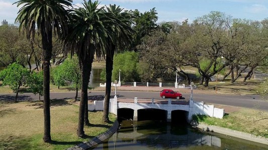 Apresaron a un ladrón intentado robar una farola