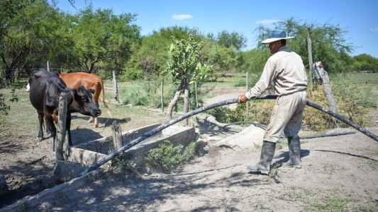 Siguen vigentes las líneas de financiamiento para productores en emergencia