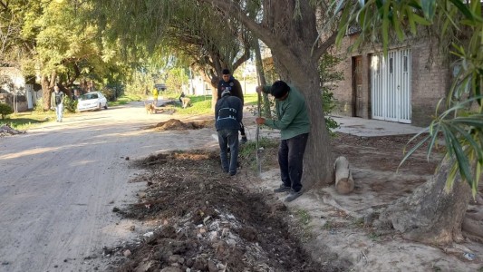 Trabajos de bacheo, iluminación y mantenimiento previstos para este lunes 4