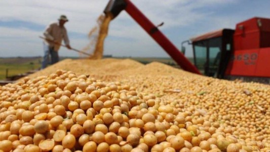 Vuelve el dólar soja: el 25% de las divisas será de libre disponibilidad para los exportadores