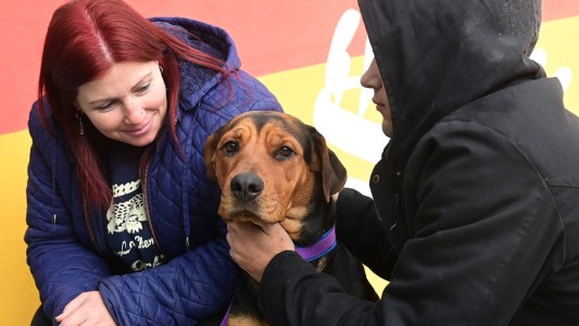 Trabajos de bacheo, iluminación y mantenimiento previstos para este miércoles 6 de septiembre