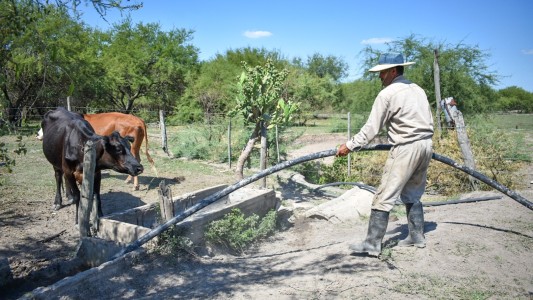 Emergencia Agropecuaria: lanzan una nueva asistencia para productores afectados