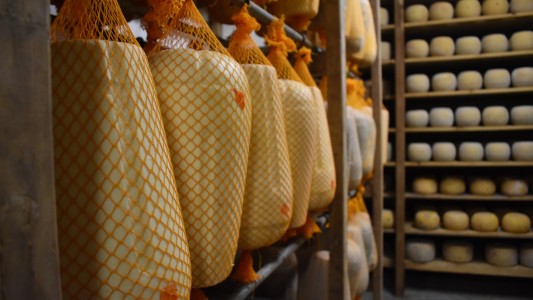 Para Omar Perotti, los anuncios de Nación son “una oportunidad para ratificar el potencial de la cadena láctea santafesina”