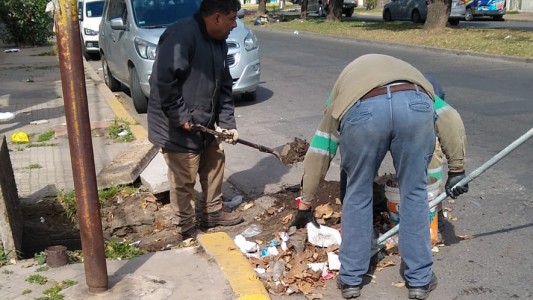 Trabajos de fumigación, bacheo, iluminación y drenaje urbano previstos para este viernes 10 de noviembre