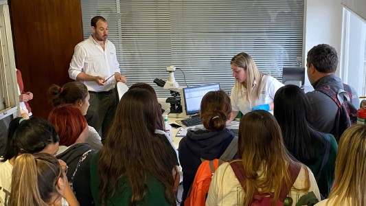 Red de Innovación: Santa Fe marca el rumbo construyendo conexiones territoriales