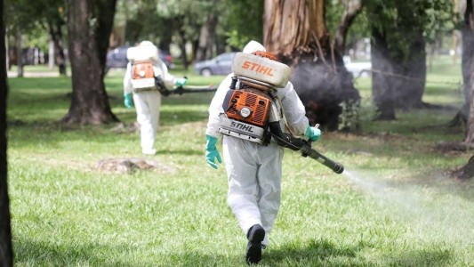 Trabajos de fumigación, bacheo, iluminación y drenaje urbano previstos para este jueves 7
