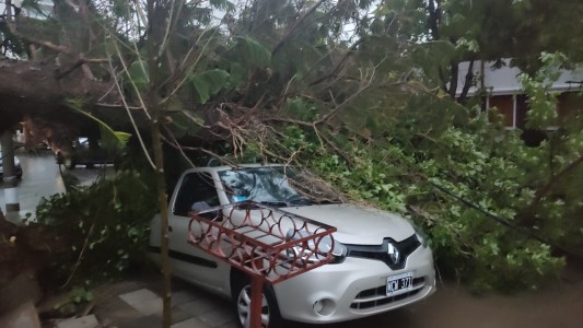 El Gobierno nacional monitorea con la provincia y el municipio el temporal en Bahía Blanca