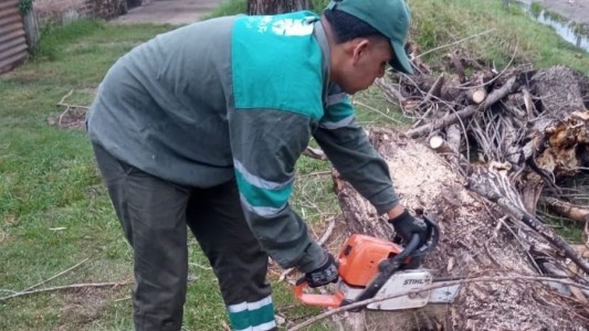 Servicios municipales previstos para este lunes 18 de diciembre