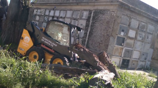 Servicios municipales previstos para este viernes 22 de diciembre