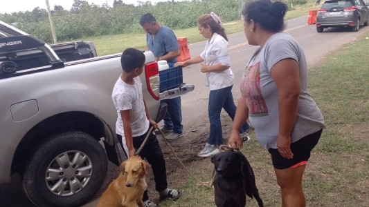 Servicios municipales previstos para esta semana