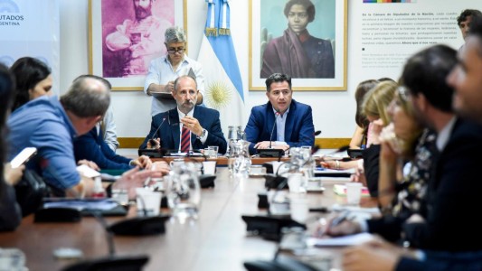 Comienza el debate de la “ley ómnibus” en el Congreso, con la presencia de funcionarios