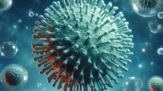 Qué es la enfermedad X: la OMS advierte que es 20 veces más mortal que el Coronavirus