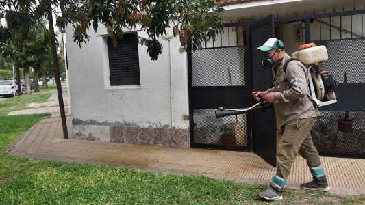 Confirmaron 124 casos de dengue en Santa Fe durante la última semana
