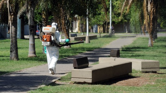 Servicios municipales previstos para esta semana de enero
