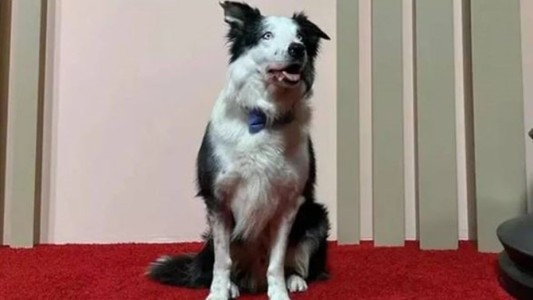 Messi, el invitado especial que asistirá a la ceremonia de los Premios Oscar