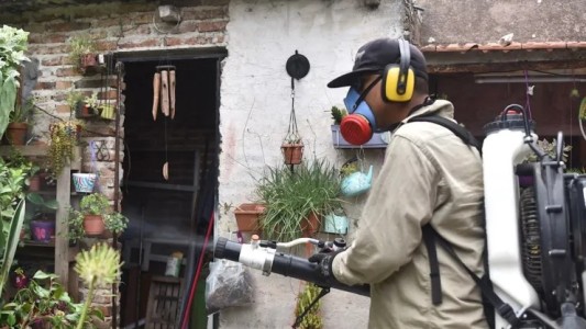 El dengue y la manera en que podemos tomar recaudos