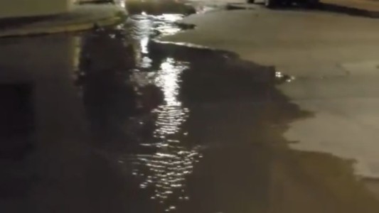 "Un mar de caca..." el reclamo de una vecina del centro de Santa Fe