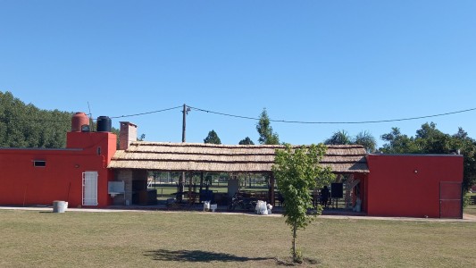 Violento robo en el Club Independiente de Santo Tomé