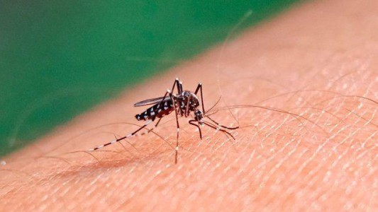 Dengue: tercera semana con descenso de la curva de casos en la Provincia