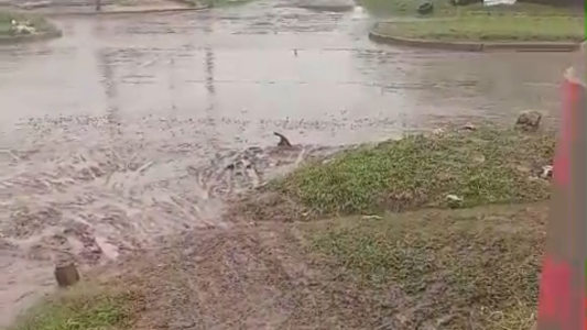 Vecinos de Barrio 29 de Abril reclaman por el estado intransitable de las calles