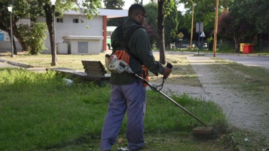 La Municipalidad informa los servicios previstos para esta semana