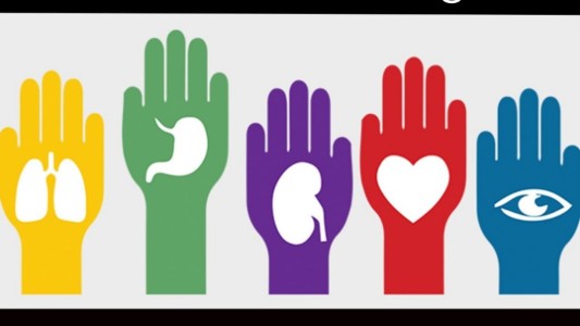 Hoy es el día de la donación de órganos en nuestro país.