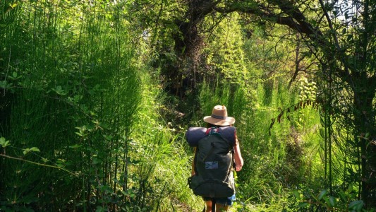 Turismo Sustentable: ¿cuál es la provincia que lidera el ranking?