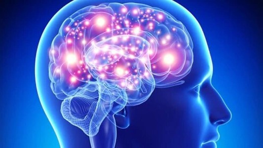 Se conmemora el Día Mundial del Cerebro