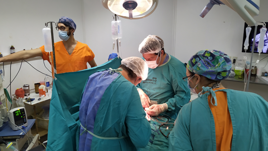 Santa Fe posibilitó uno de cada seis trasplantes en el país durante julio