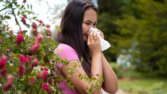 Alergias de primavera: cuáles son las más comunes y cómo detectarlas