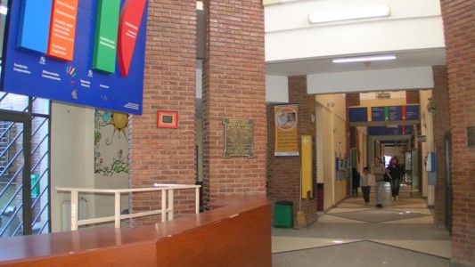 Picaduras de alacrán: primeras consultas y principales recomendaciones