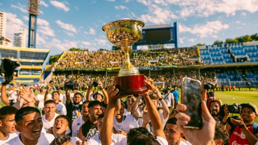 Aldosivi ascendió a la Primera División del Fútbol Argentino