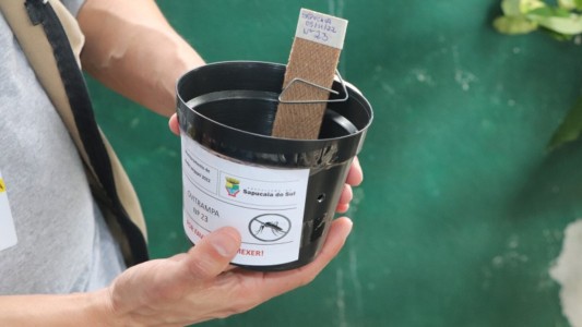 Detectan presencia del mosquito del dengue en 23 barrios de Santa Fe