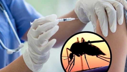 Farmacias afirman que las vacunas contra el dengue que llegaron "son muy pocas"