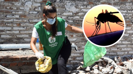 Dengue en la provincia: en una semana los casos se incrementaron más de un 50%