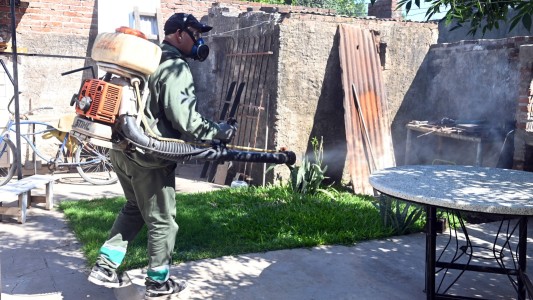Dengue: se confirman nuevos casos y se refuerzan las tareas de prevención