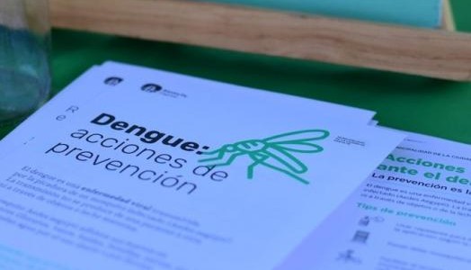 Dengue en Santa Fe: suman 8.326 casos y 7 fallecidos en este temporada
