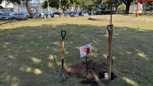 Homenajearon a los donantes de órganos en toda la provincia de Santa Fe