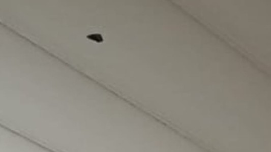 Atacaron a balazos a una vivienda: una bala perforó el cielo raso