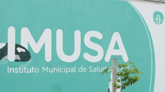 El Imusa realizó más de 6600 atenciones veterinarias en el mes de enero
