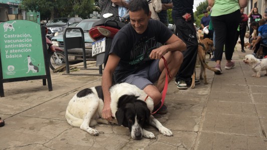 El Imusa castró y vacunó a más de 120 animales de compañía en barrio Centenario