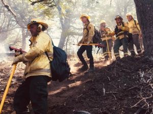 Incendios en la Patagonia: Brigadistas de Santa Fe en Chubut realizan ataque directo al fuego