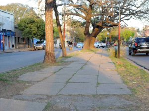 Eximirán del 50% del DReI a comercios afectados por la obra en la avenida J. J. Paso