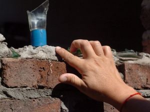 Dengue en Santa Fe: más de 40 barrios de la ciudad registran presencia del vector