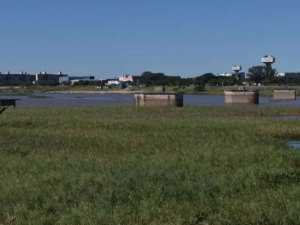 Removerán los camalotes de la Laguna Setúbal