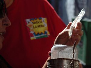 Dengue: bajan los barrios con presencia del mosquito que produce la enfermedad